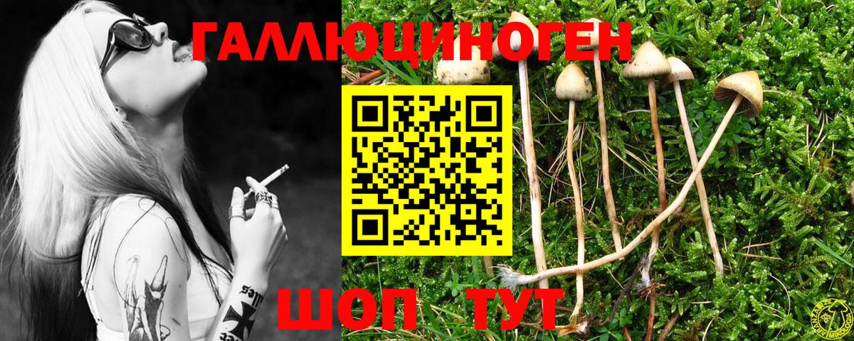 купить закладку  Псилоцибиновые грибы ЛСД  Псилоцибиновые грибы Psilocybine cubensis  Вход с VPN  Десногорск 